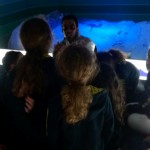 WhatsApp Image 2017-08-31 at 2.55.01 PM