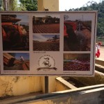 WhatsApp Image 2017-09-01 at 1.28.37 PM