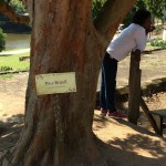 WhatsApp Image 2017-09-01 at 1.43.47 PM