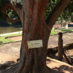 WhatsApp Image 2017-09-01 at 1.44.24 PM