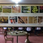 WhatsApp Image 2017-09-01 at 10.31.04 AM