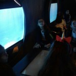 WhatsApp Image 2017-09-01 at 12.34.02 PM