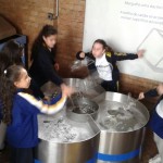 WhatsApp Image 2017-09-01 at 12.51.13 PM (1)