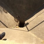 WhatsApp Image 2017-09-01 at 2.52.06 PM