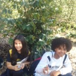 WhatsApp Image 2017-09-01 at 3.53.57 PM