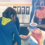 WhatsApp Image 2017-09-01 at 8.37.58 AM