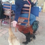 WhatsApp Image 2017-09-01 at 9.19.49 AM