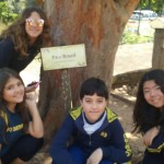 WhatsApp Image 2017-09-01 at 9.53.20 AM