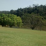 WhatsApp Image 2017-09-02 at 9.49.15 AM