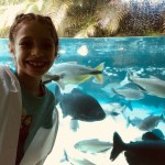 WhatsApp Image 2017-10-30 at 2.44.24 PM