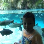 WhatsApp Image 2017-10-30 at 2.44.28 PM