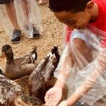 WhatsApp Image 2017-10-30 at 2.44.33 PM