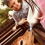 WhatsApp Image 2017-10-30 at 2.44.34 PM (2)