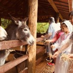 WhatsApp Image 2017-10-30 at 2.44.35 PM (3)