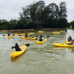 WhatsApp Image 2017-10-30 at 4.29.24 PM