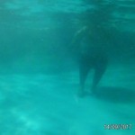 WhatsApp Image 2017-11-01 at 3.32.51 PM