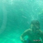 WhatsApp Image 2017-11-01 at 3.32.56 PM