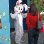 WhatsApp Image 2018-03-29 at 8.17.50 AM