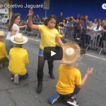 Screen Shot 2018-06-19 at 10.30.58 AM