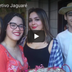 Screen Shot 2018-06-19 at 10.35.53 AM